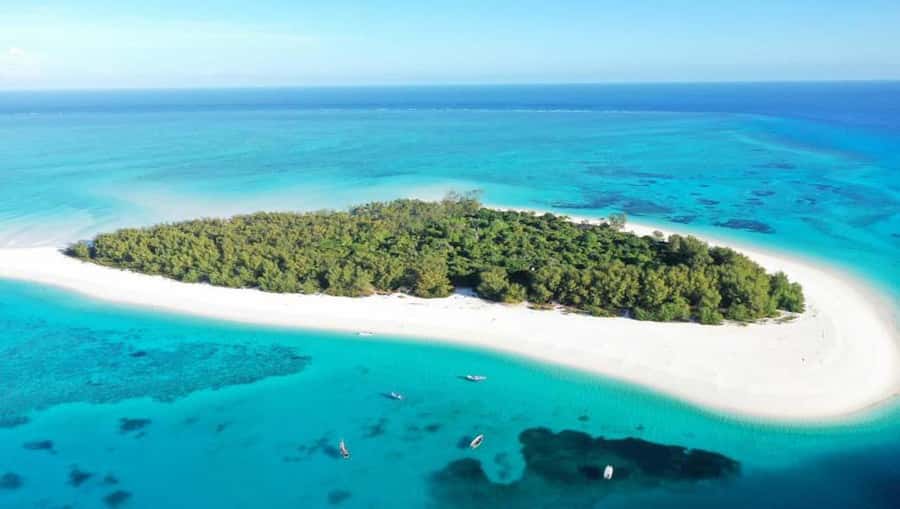 From Zanzibar: Mnemba Boat Trip Dolphins Adventure trip - From Zanzibar hotel pickup to a smooth start at 7h00
