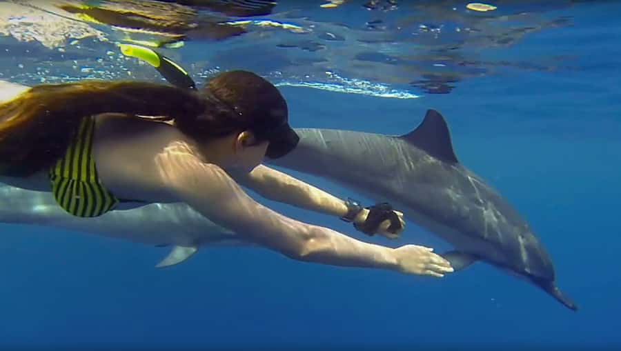 From Zanzibar: Mnemba Boat Trip Dolphins Adventure trip - The 4-hour Dolphins Adventure: how the schedule really plays out