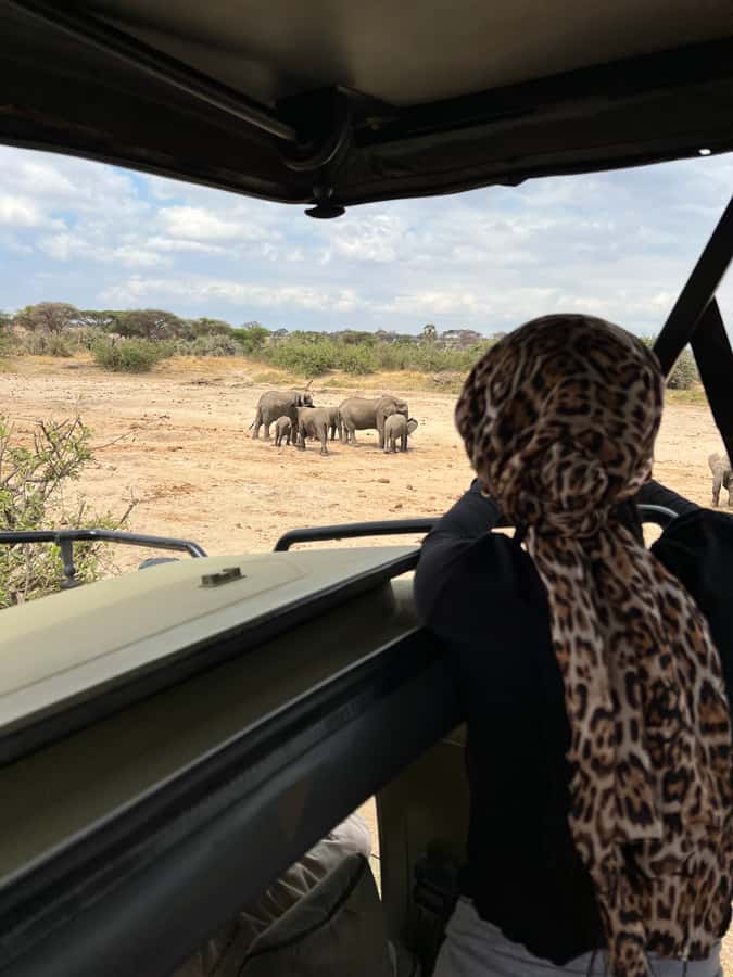 From Zanzibar: Nyerere National Park Game Drive with Lunch - Price and value: is $550 per person fair for a one-day safari?