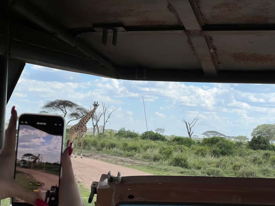 From Zanzibar: Nyerere National Park Game Drive with Lunch - The one risk to manage: tight timing and pickup reliability