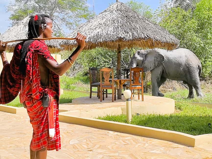 From Zanzibar: Overnight Selous G.R. Safari with Flights - Africa Safari Selous overnight, Banda Bungalows and the border-area calm