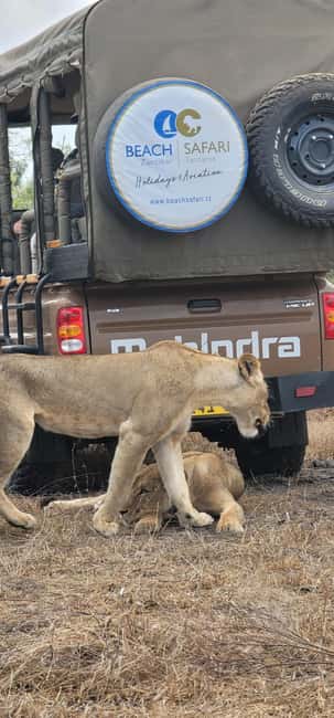 From Zanzibar: Overnight Selous G.R. Safari with Flights - Day 2 full-day drive, chances at lions, and another bush lunch