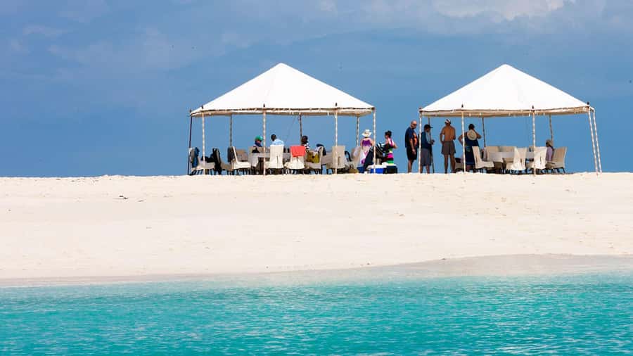 From Zanzibar: Prison Island With Nakupenda Tour - A half-day that actually feels worth it