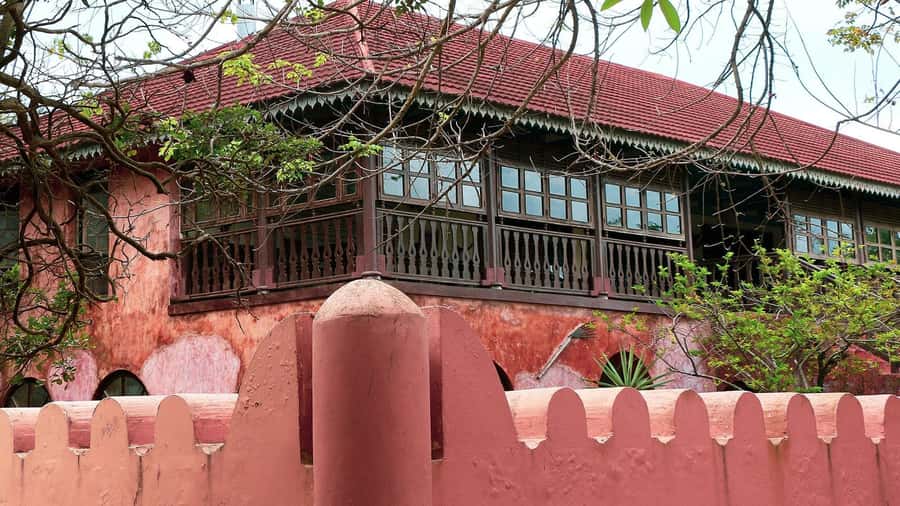 From Zanzibar: Prison Island With Nakupenda Tour - Who should book this, and who should skip it