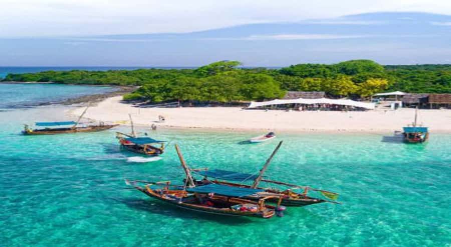 From Zanzibar: Safari Blue Snorkeling Trip with Lunch - The sandbank break: the simple part that often becomes the best part