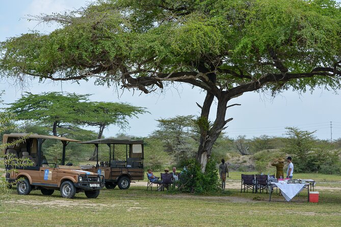From Zanzibar: Selous Game Reserve Day Safari with Flights - Selous (Nyerere National Park) is the point of this day trip