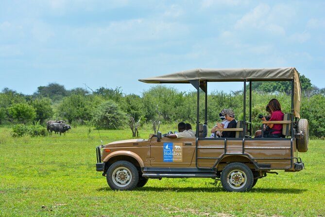 From Zanzibar: Selous Game Reserve Day Safari with Flights - Bush lunch in the middle of the park, plus a hippo-view coffee moment