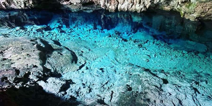 From Zanzibar: Starfish, Blue Lagoon, & The Rock Restaurant - Key highlights before you go