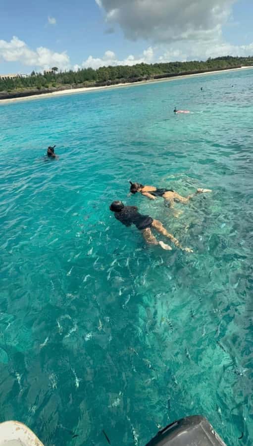 From Zanzibar: Starfish, Blue Lagoon, & The Rock Restaurant - Transportation and timing: how the 5 hours usually feel