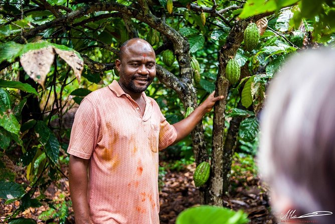 Fruits & Spices Adventure - Why This Spice Tour Feels Different Than a Typical Stop-and-Shop