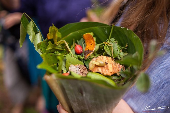Fruits & Spices Adventure - Learning More Than Spices: Agriculture and Plant Uses
