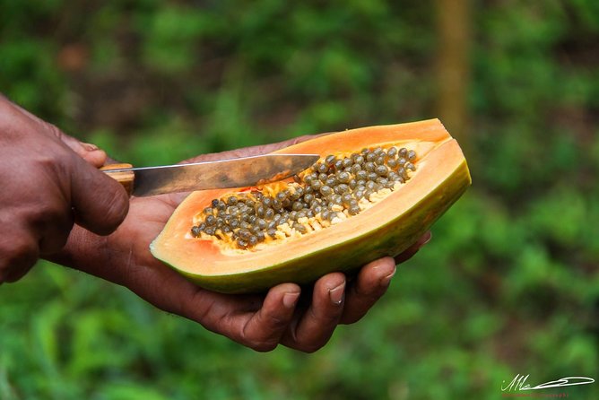 Fruits & Spices Adventure - Timing and Getting There: Old Fort Start, Back Again