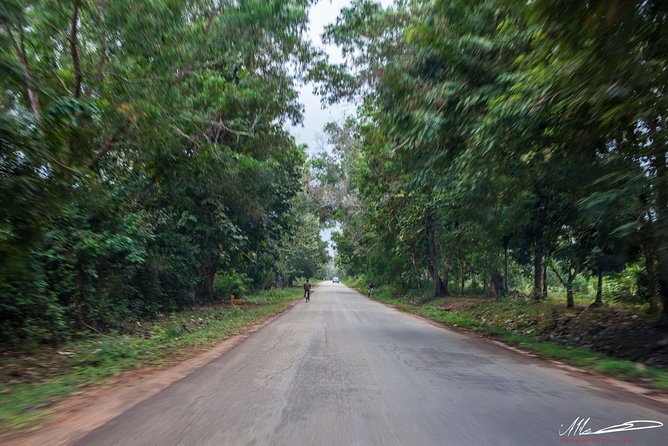 Fruits & Spices Adventure - The Jambo Spice Farm Walk: Paths, Plants, and Big Smell Energy