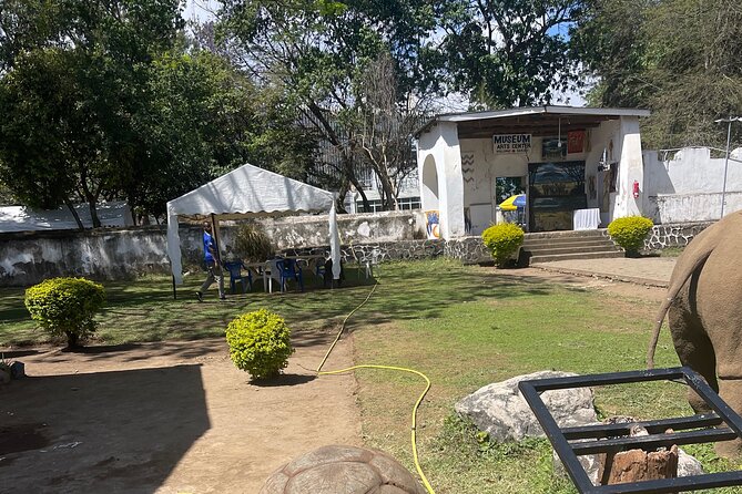Full Day Arusha City Tour - Stop 3: National Natural History Museum and the Boma-style animal moment