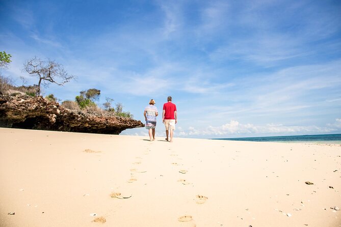 Full-Day Blue Lagoon and Sandbank Boat Tour from Zanzibar ( Safari blue) - Food, drinks, and snorkeling gear, what’s included