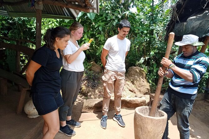 Full Day Materuni Water Falls, Hiking and Coffee Making Tour in Moshi - Key highlights that make this day work