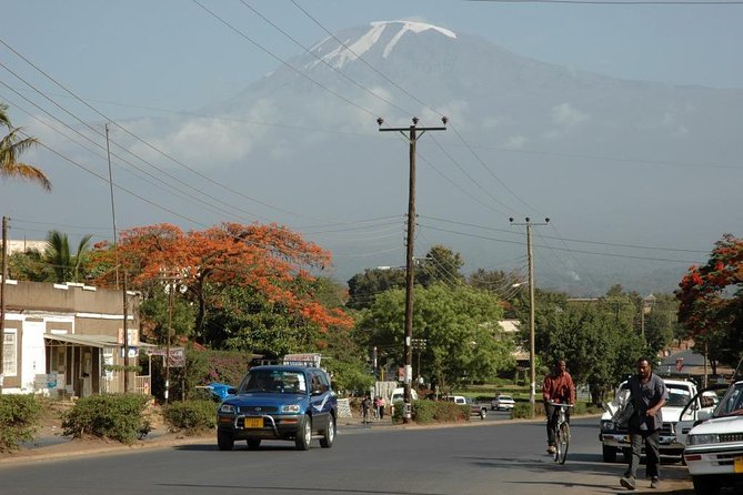 Full-Day Moshi Private Forest Walk and Local Market Tour - Key things to know before you go