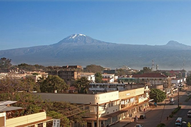 Full-Day Moshi Private Forest Walk and Local Market Tour - Starting in Moshi Urban: coffee country and Kilimanjaro in view