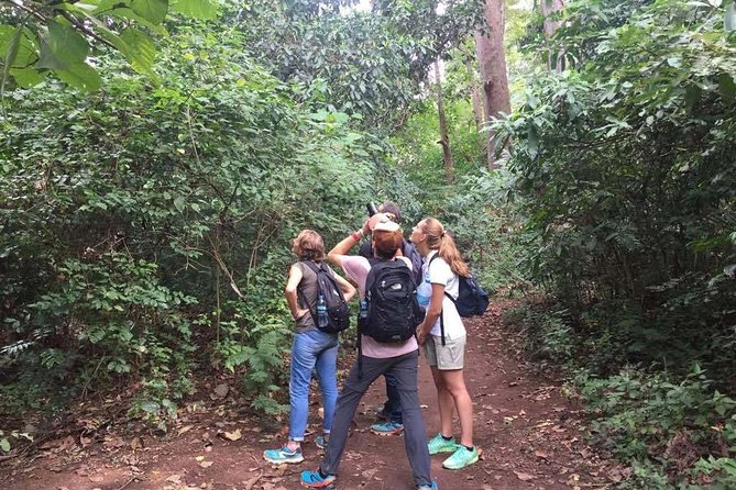 Full-Day Moshi Private Forest Walk and Local Market Tour - Should you book this private forest walk and local market tour?