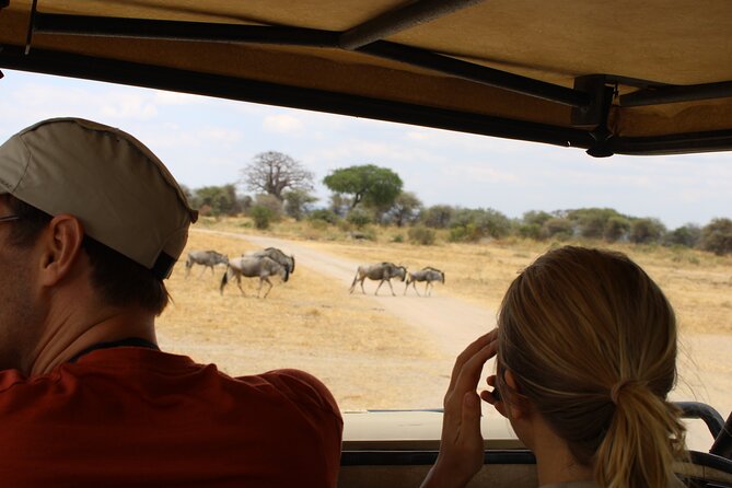 Full-Day Ngorongoro Crater private tour - Picnic lunch in the park: one smart way to buy yourself more safari time