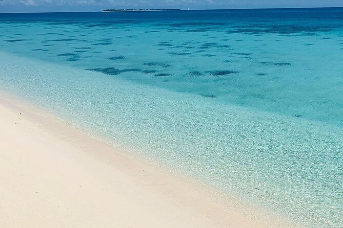 Full-day Prison Island and Nakupenda Sandbank with Lunch buffet - How the full day is set up, from pickup to return
