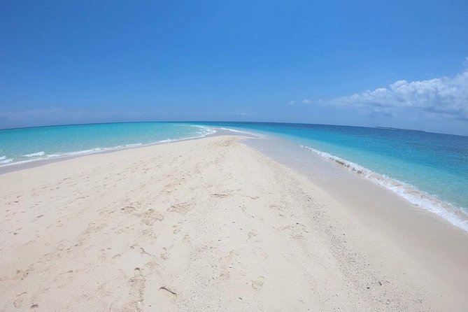 Full-day Prison Island and Nakupenda Sandbank with Lunch buffet - Prison Island at Changuu Private Island: tortoises and the old quarantine story
