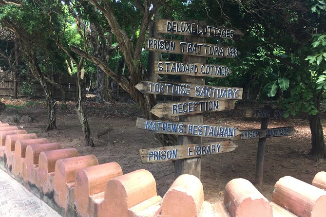 Full-day Prison Island, Nakupenda and Stone Town Tour with Lunch Buffet - Food value: buffet lunch, plus drinks that keep your day on track