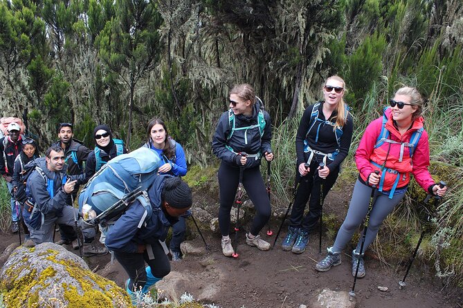 Full Day Private Hiking Tour to Kilimanjaro Mountain - The Southeast Route Feel: Lower Altitude, Big Atmosphere