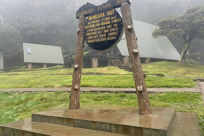 Full Day Private Hiking Tour to Kilimanjaro Mountain - Lunch Stop Tips: What to Do During the Picnic Break