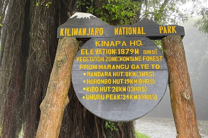 Full Day Private Hiking Tour to Kilimanjaro Mountain - Getting to Marange Gate: The Early Morning Reality Check