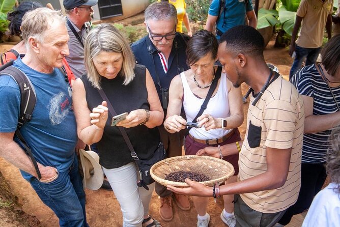 Full-Day Private Materuni Waterfalls and Coffee in Tanzania - Key highlights at a glance