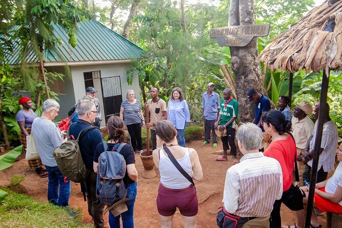 Full-Day Private Materuni Waterfalls and Coffee in Tanzania - Materuni Waterfalls hike: real rainforest walking, then a place to cool off