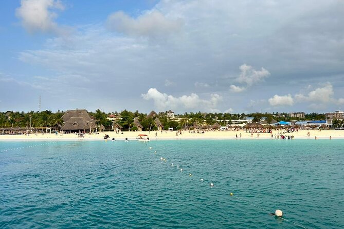 Full Day Private Mnemba Island + Turtles Aquarium & Kendwa Beach - Price and value: is $104 per person a fair trade?