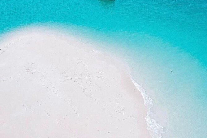 Full Day Private Mnemba Island + Turtles Aquarium & Kendwa Beach - Who this private Mnemba plus turtles and Kendwa day fits best