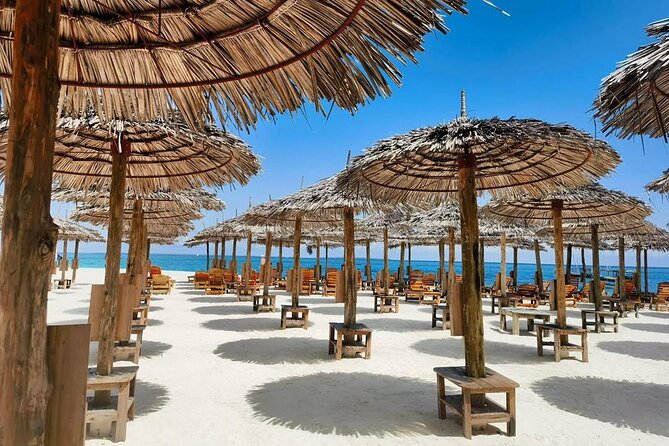 Full Day Private Mnemba Island + Turtles Aquarium & Kendwa Beach - The small logistics that affect your day more than you’d think