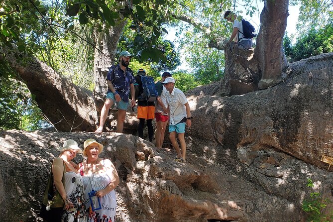 Full Day Private Safari Blue Sea Adventure in Zanzibar - Who this Safari Blue sea adventure suits best