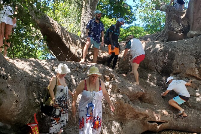 Full Day Private Safari Blue Sea Adventure in Zanzibar - Quick practical tips to make your day smoother