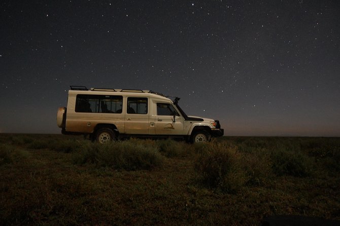Full-Day Private Serengeti Safari from Mwanza - How the Guide Shapes the Wildlife Search Inside Serengeti