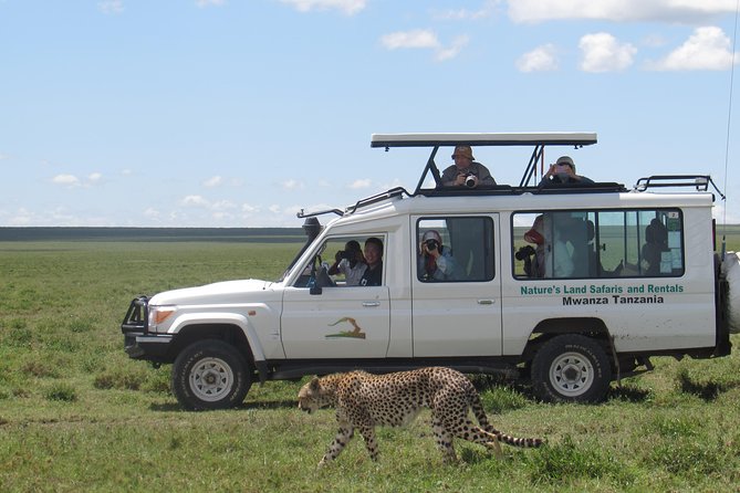 Full-Day Private Serengeti Safari from Mwanza - The Private 4x4 Setup Makes Game Drives Feel Less Like a Rattle-athon