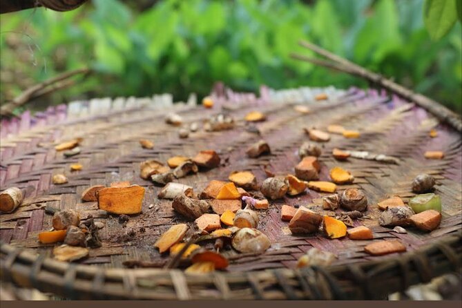 Full Day Private Stone Town, Spice Farm & Prison Island Tour - Price and Value: What $110 Gets You for a Full Private Day