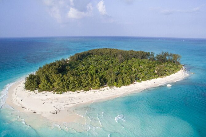Full - Day Private Zanzibar Tour with dolphins & Sunset Beach - Key highlights