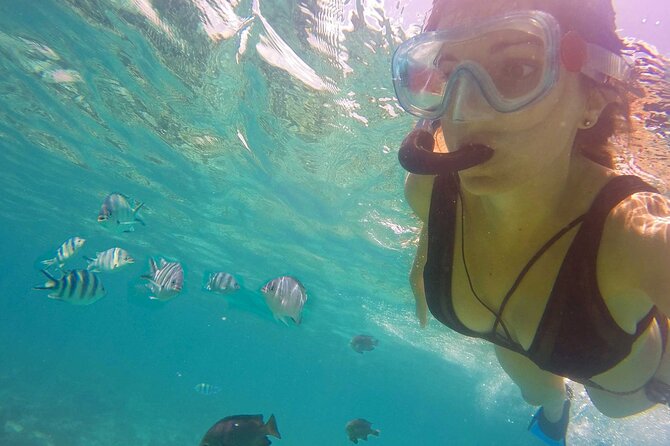 Full - Day Private Zanzibar Tour with dolphins & Sunset Beach - A Full-Day Zanzibar Mix: Mnemba Snorkel, Sea Turtles, Kendwa Sunset