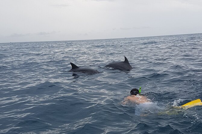 Full - Day Private Zanzibar Tour with dolphins & Sunset Beach - Stop 2, Baraka Natural Aquarium in Nungwi: Sea Turtles in Tide-Made Pools