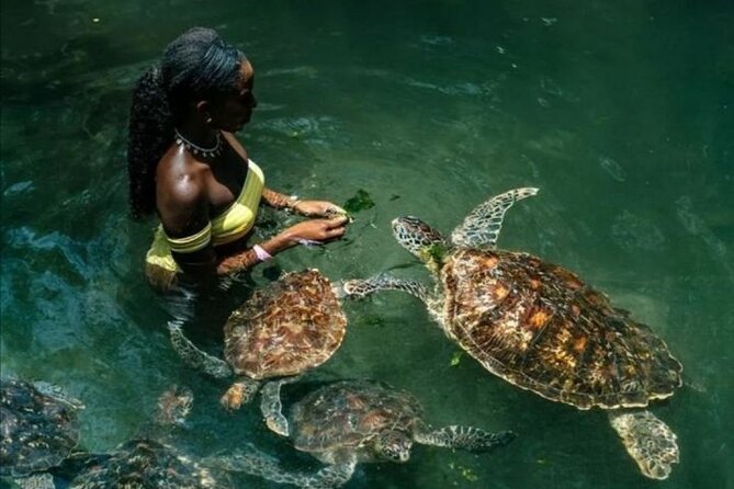 Full Day Private Zanzibar Tour with Sunset Beach - Why This Mnemba and Kendwa Day Makes Sense for First-Time Zanzibar