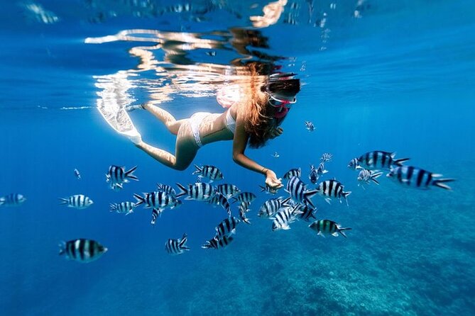 Full Day Private Zanzibar Tour with Sunset Beach - Should You Book This Full Day Private Zanzibar Tour With Sunset Beach?