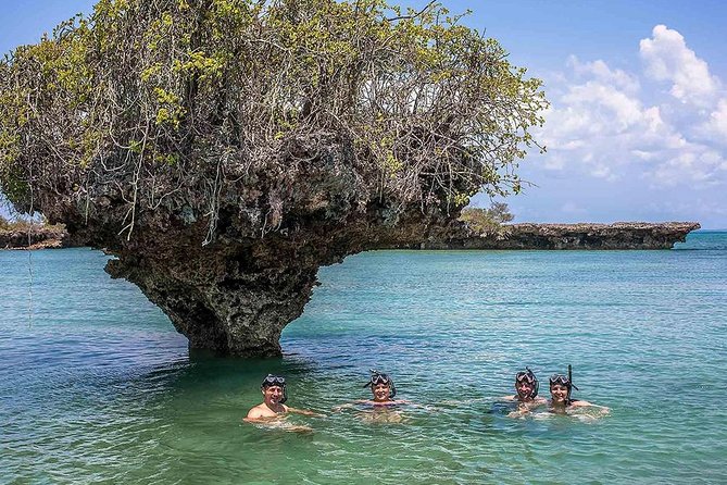 Full-day Safari Blue Trip in Zanzibar with Lunch buffet - Key things to know before you go