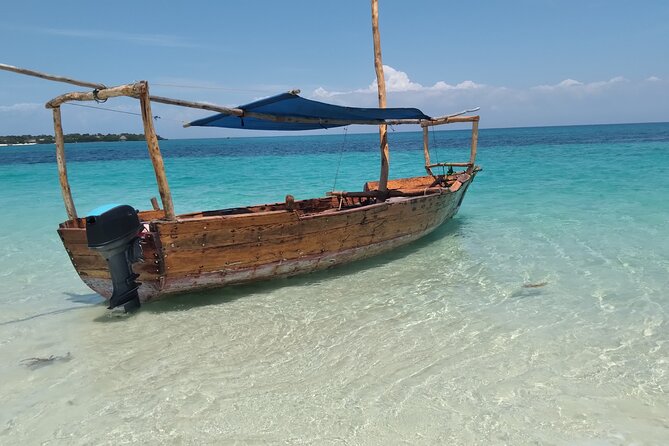 Full-day Safari Blue Trip in Zanzibar with Lunch buffet - Stop 2: Snorkeling at the coral reef for colorful fish time