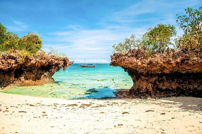 Full-day Safari Blue Trip in Zanzibar with Lunch buffet - The baobab stop: a quick cultural moment without the performance