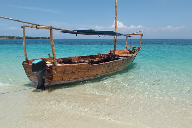 Full-day Safari Blue Trip in Zanzibar with Lunch buffet - Dolphins, timing, and how to think about the schedule