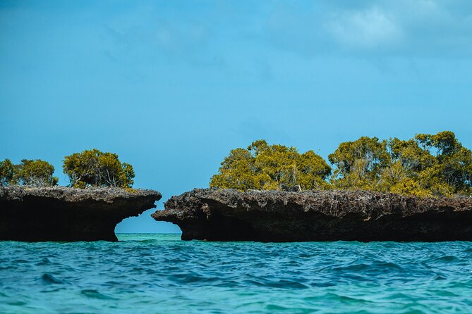 Full Day Safari Blue Zanzibar - Meeting, timing, and the dhow boat routine